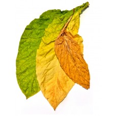 e-liquid tobacco flavours from £2.52